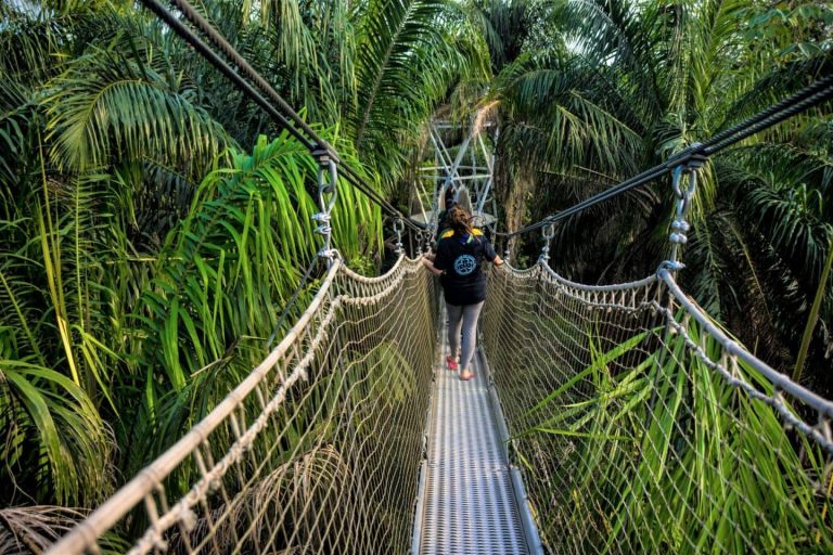 Lekki Conservation Center[Sarah Toyin]